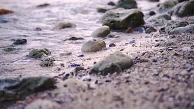 4k实拍海边海浪拍打沙滩拍打礁石风光视频的预览图
